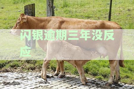 闪银逾期三年未还款，将面临法律诉讼：我该如何应对？