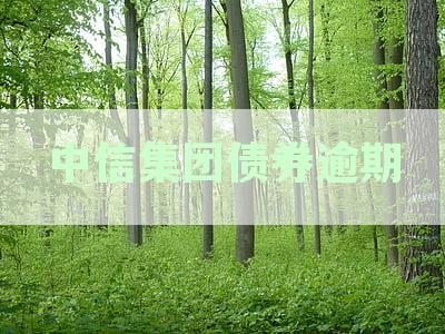 中信债券违约：原因、影响与解决方案全面解析