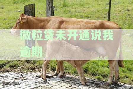 微粒贷未开通说我逾期怎么办？如何办理？