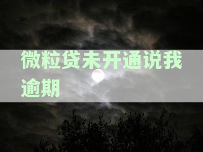 如何解决微粒贷未开通问题：完整指南，涵常见原因和解决方案