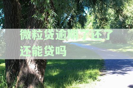 微粒贷逾期还款后多久能再借？逾期未通过综合评估有解决办法吗？