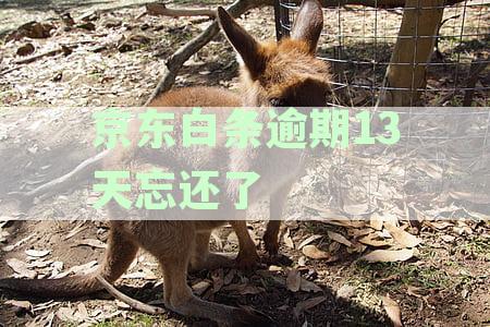 逾期13天后还款，用户是否还能继续使用及如何解决逾期问题？