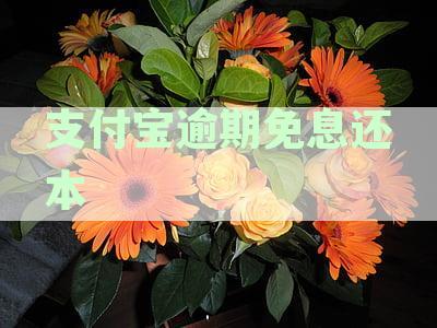 支付宝逾期还款减免策略：如何计算免息还本金？