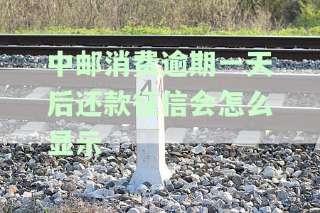一天后还款的中邮消费逾期记录对征信的影响：显示、信用评估及具体操作