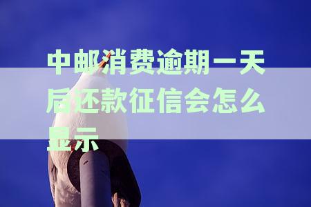 中邮消费逾期一天上报征信吗？了解逾期还款对个人信用的完整影响与解决方法