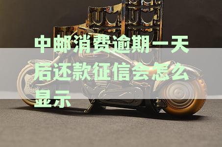 中邮消费晚一天还款上征信不显示，逾期一天后如何处理：影响与解决办法
