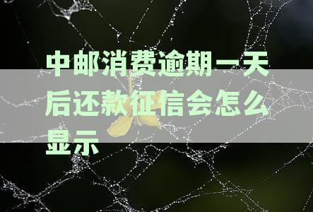 中邮消费金融逾期对个人征信产生的影响及解决方案