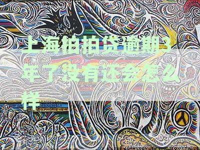 上海拍拍贷逾期一年后被起诉：真实情况揭秘及可能的解决办法