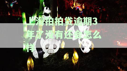 上海拍拍贷逾期3年了没有还会怎么样