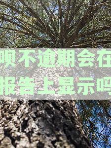 借呗逾期是否会影响征信报告？不逾期的借呗记录会显示吗？解答你的疑问