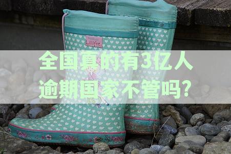 全国逾期债务3亿人：政府是否应采取措？详解相关政策和解决方案