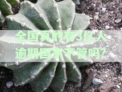 全国有多少人逾期不还网贷信用卡欠债？