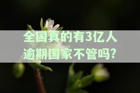 2020年全国信用卡逾期人数揭秘：数据统计分析与应对策略
