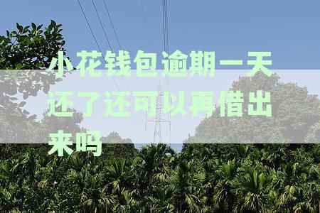小花钱包逾期还款后能否再次借款？逾期一天还款的影响及解决方法是什么？