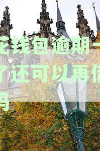 小花钱包逾期一天还了还可以再借出来吗安全吗-小花钱包逾期一天还了 还可以循环借款吗