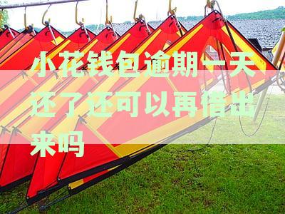 小花钱包逾期一天还款后，能否继续循环借款？再次申请借款的可行性分析