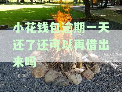 小花钱包逾期一天后果及解决方法全面解析：如何避免逾期影响信用评分？