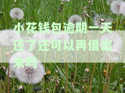 小花钱包逾期一天会不会上征信：关于逾期一天的后果和影响