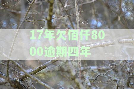 佰仟四年没有还怎么办：解决方法与建议