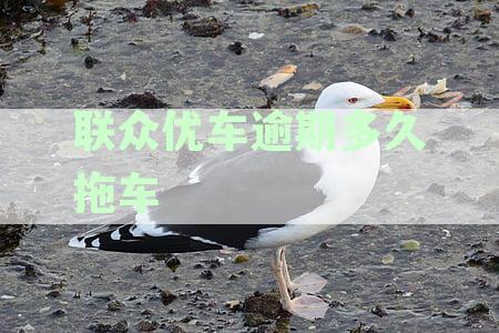 联众优车逾期拖车时间及费用全解：逾期多久会被扣？会产生哪些额外费用？