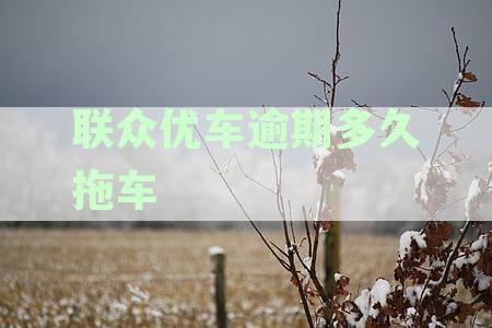 联众优车逾期还款时间影响：征信多久更新？