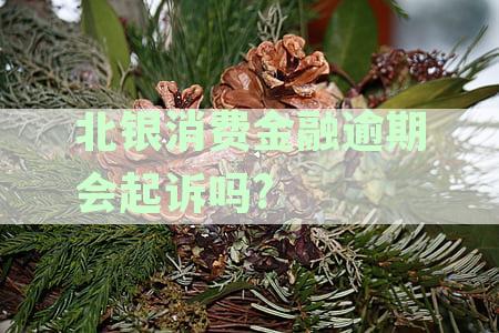 北银消费金融逾期还款可能面临的法律风险与应对策略