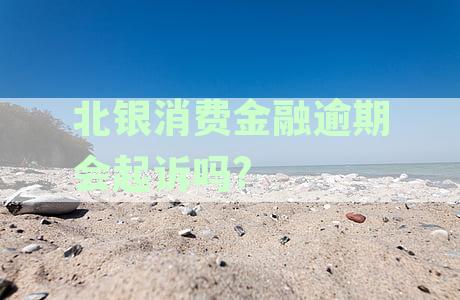 北银消费金融逾期几天会联系家人朋友 - 关于逾期还款的处理和通知方式