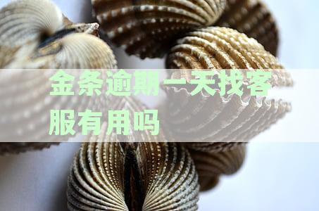 京东金条逾期一天还款客服有用吗？怎么处理？