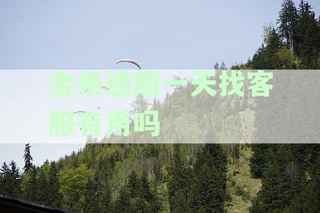 金条逾期一天后果严重，怎么办？征信会受影响吗？快来了解！