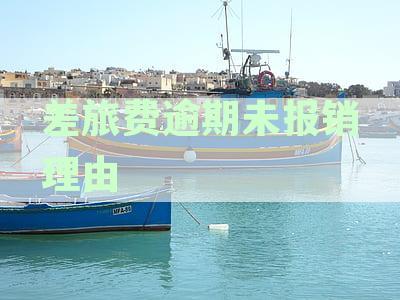差旅费逾期未报销理由