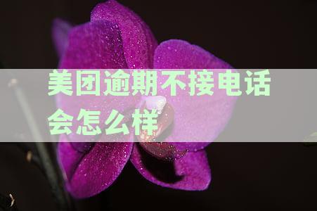 美团逾期不接电话会怎么样吗安全吗？