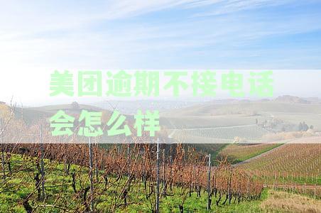 美团逾期不接电话会怎么样