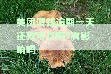 美团借钱逾期一天还款，会有什么影响？如何避免逾期及处理方法全解析
