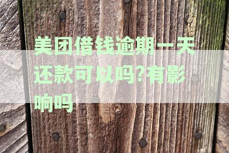 美团贷款逾期一天：征信记录会受到影响吗？
