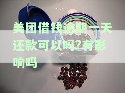 美团借钱逾期1天后还款，对征信的影响及解决办法全面解析