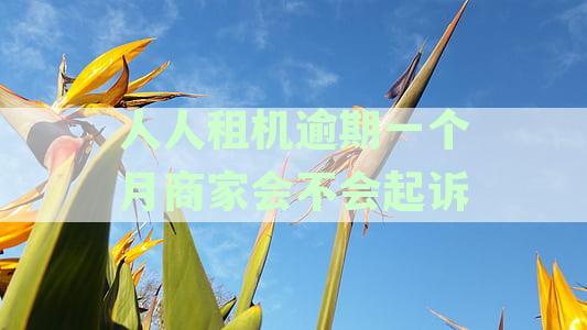 人人租机逾期还款是否会影响个人信用？如何解决逾期问题？