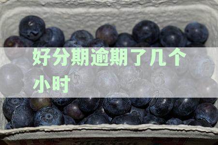 逾期了几个小时