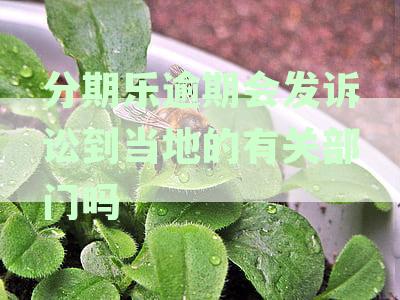 分期乐逾期会被告上法院吗？欠款一千多元的后果是什么？