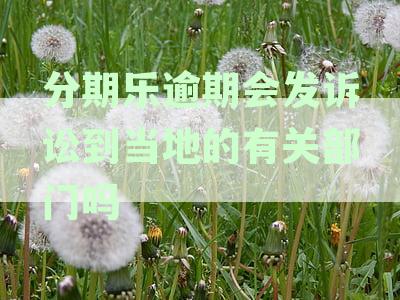分期乐还款逾期：可能面临的法律后果与应对策略