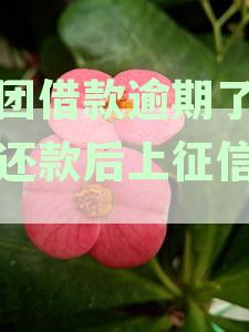 美团借款逾期三天还款后，是否会影响个人征信？如何解决这个问题？