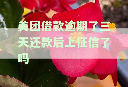 美团借钱逾期三天会上征信吗？如何处理？