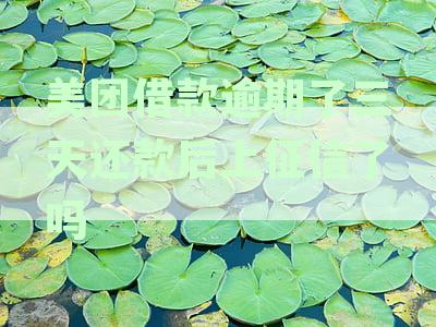 美团借款逾期了三天还款后上征信了吗