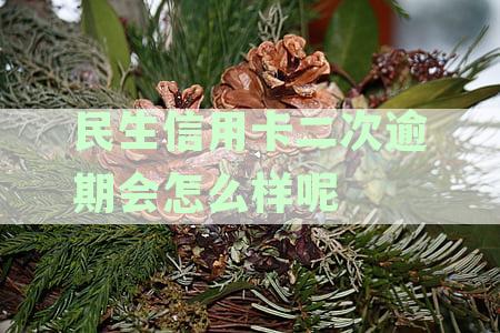 民生信用卡二次逾期的影响及应对策略：用户必看的全面指南