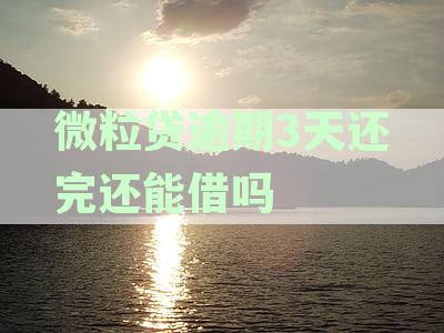 微粒贷逾期后还款，额度恢复时间及后续处理方法全解析