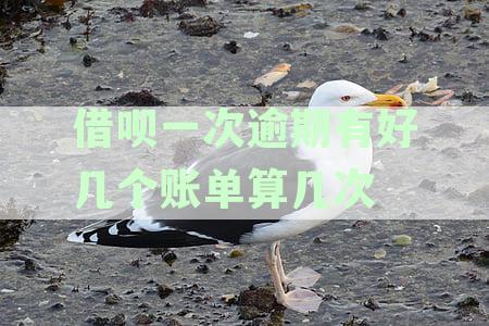 逾期还款对借呗账单的影响：一次逾期是否导致多次计入？