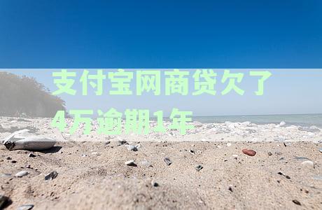支付宝上的网商贷逾期一年多-支付宝上的网商贷逾期一年多怎么办