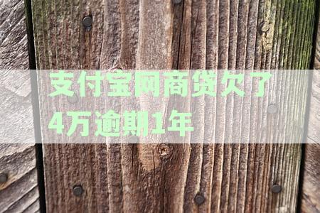 支付宝网商贷逾期一年后还款能否继续使用：逾期一年多一万块钱会被起诉吗？