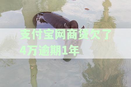 支付宝网商贷欠了4万逾期1年