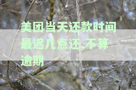新美团还款当天最晚可以何时进行还款？还有哪些还款方式需要注意？