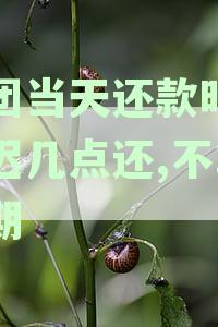 美团当天还款时间最几点还,不算逾期